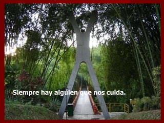 Siempre hay alguien que nos cuida. 