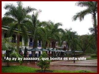Ay ay ay aaaaaay, que bonita es esta vida  