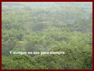 Y aunque no sea para siempre  