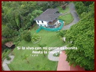 Si la vivo con mi gente es bonita  hasta la muerte  