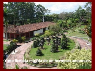 Y me llena la mirada de un hermoso amanecer. 