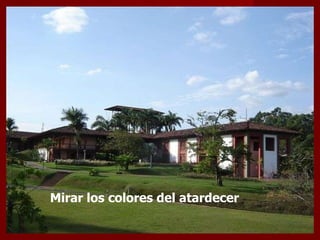 Mirar los colores del atardecer  