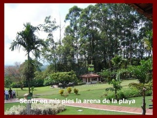Sentir en mis pies la arena de la playa  