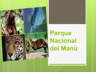 Parque
Nacional
del Manú
 