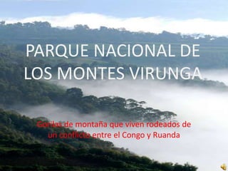 PARQUE NACIONAL DE LOS MONTES VIRUNGA Gorilas de montañaquevivenrodeados de un conflicto entre el Congo y Ruanda 