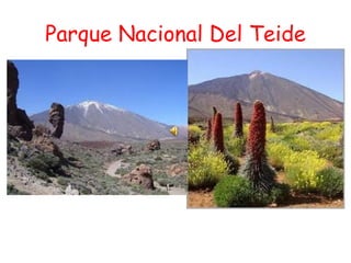 Parque Nacional Del Teide
 