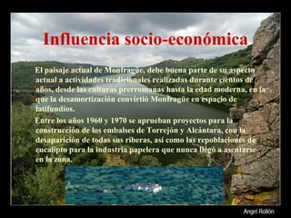 Influencia socio-económica El paisaje actual de Monfragüe, debe buena parte de su aspecto actual a actividades tradicionales realizadas durante cientos de años, desde las culturas prerromanas hasta la edad moderna, en la que la desamortización convirtió Monfragüe en espacio de latifundios.  Entre los años 1960 y 1970 se aprueban proyectos para la construcción de los embalses de Torrejón y Alcántara, con la desaparición de todas sus riberas, así como las repoblaciones de eucalipto para la industria papelera que nunca llegó a asentarse en la zona. 