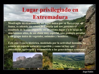 Lugar privilegiado en Extremadura Monfragüe no es solamente un lugar único por su flora o por su fauna, es además un retazo de historia que nos presenta el resultado de la convergencia, en un mismo lugar y a lo largo de muchísimos años, de un clima muy especial, una geología peculiar y un grupo único de vegetales, animales y hombres. Esta convivencia histórica, modelada por la actividad humana, ha creado un espacio natural irrepetible y como tal hay que entenderlo, apreciarlo y transmitirlo a las generaciones venideras. 