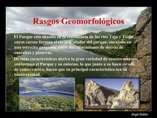 Rasgos Geomorfológicos El Parque esta situado en la confluencia de los ríos Tajo y Tiétar, cuyos cursos forman el eje articulador del parque, encajado en una estrecha garganta, entre dos alineaciones de sierras de cuarcitas y pizarras.  De estas características deriva la gran variedad de ecosistemas que conforman el Parque y su entorno, lo que junto a su buen estado de conservación, hacen que su principal característica sea su biodiversidad.  