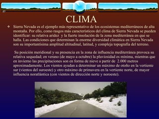 CLIMA <ul><li>Sierra Nevada es el ejemplo más representativo de los ecosistemas mediterráneos de alta montaña. Por ello, c...