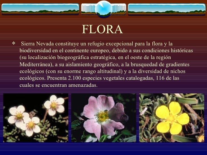 P.N. Sierra Nevada