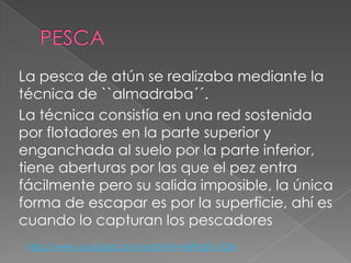 La pesca de atún se realizaba mediante la
técnica de ``almadraba´´.
La técnica consistía en una red sostenida
por flotadores en la parte superior y
enganchada al suelo por la parte inferior,
tiene aberturas por las que el pez entra
fácilmente pero su salida imposible, la única
forma de escapar es por la superficie, ahí es
cuando lo capturan los pescadores
http://www.youtube.com/watch?v=eI9XqFo-TO4
 