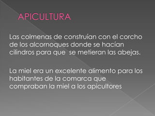 Las colmenas de construían con el corcho
de los alcornoques donde se hacían
cilindros para que se metieran las abejas.
La miel era un excelente alimento para los
habitantes de la comarca que
compraban la miel a los apicultores
 