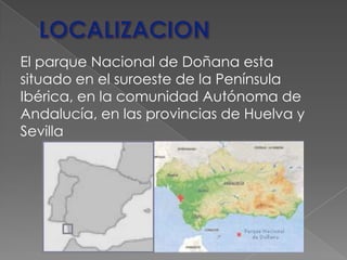 El parque Nacional de Doñana esta
situado en el suroeste de la Península
Ibérica, en la comunidad Autónoma de
Andalucía, en las provincias de Huelva y
Sevilla
 