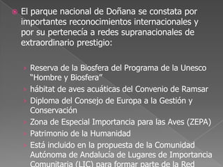  El parque nacional de Doñana se constata por
importantes reconocimientos internacionales y
por su pertenecía a redes supranacionales de
extraordinario prestigio:
› Reserva de la Biosfera del Programa de la Unesco
“Hombre y Biosfera”
› hábitat de aves acuáticas del Convenio de Ramsar
› Diploma del Consejo de Europa a la Gestión y
Conservación
› Zona de Especial Importancia para las Aves (ZEPA)
› Patrimonio de la Humanidad
› Está incluido en la propuesta de la Comunidad
Autónoma de Andalucía de Lugares de Importancia
 