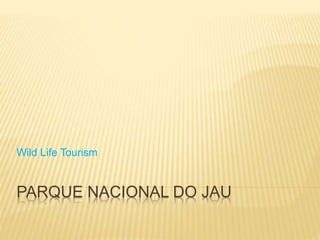 PARQUE NACIONAL DO JAU
Wild Life Tourism
 