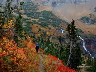 Parque nacional dos glaciares_usa
