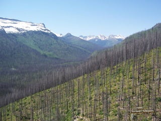 Parque nacional dos glaciares_usa