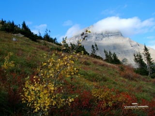Parque nacional dos glaciares_usa