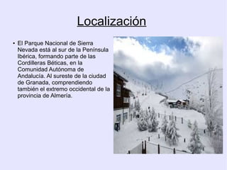 Localización
●

El Parque Nacional de Sierra
.
Nevada está al sur de la Península
Ibérica, formando parte de las
Cordilleras Béticas, en la
Comunidad Autónoma de
Andalucía. Al sureste de la ciudad
de Granada, comprendiendo
también el extremo occidental de la
provincia de Almería.

 