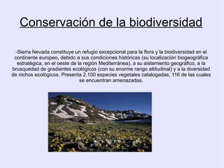 Conservación de la biodiversidad
-Sierra Nevada constituye un refugio excepcional para la flora y la biodiversidad en el
continente europeo, debido a sus condiciones históricas (su localización biogeográfica
estratégica, en el oeste de la región Mediterránea), a su aislamiento geográfico, a la
brusquedad de gradientes ecológicos (con su enorme rango altitudinal) y a la diversidad
de nichos ecológicos. Presenta 2.100 especies vegetales catalogadas, 116 de las cuales
se encuentran amenazadas.

 