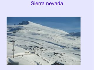 Sierra nevada

 