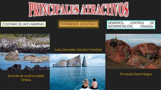 León Dormido. Isla San Cristóbal
El volcán Sierra Negra
Arrecife de coral en bahía
Urbina
COLONIAS DE AVES MARINAS FENÓMENOS GEOLÓGICOS SENDEROS, CENTROS DE
INTERPRETACIÓN, CRIANZA,
ETC
 
