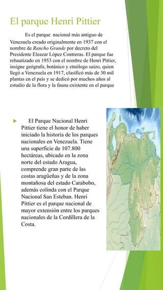 El parque Henri Pittier
Es el parque nacional más antiguo de
Venezuela creado originalmente en 1937 con el
nombre de Rancho Grande por decreto del
Presidente Eleazar López Contreras. El parque fue
rebautizado en 1953 con el nombre de Henri Pittier,
insigne geógrafo, botánico y etnólogo suizo, quien
llegó a Venezuela en 1917, clasificó más de 30 mil
plantas en el país y se dedicó por muchos años al
estudio de la flora y la fauna existente en el parque
 El Parque Nacional Henri
Pittier tiene el honor de haber
iniciado la historia de los parques
nacionales en Venezuela. Tiene
una superficie de 107.800
hectáreas, ubicado en la zona
norte del estado Aragua,
comprende gran parte de las
costas aragüeñas y de la zona
montañosa del estado Carabobo,
además colinda con el Parque
Nacional San Esteban. Henri
Pittier es el parque nacional de
mayor extensión entre los parques
nacionales de la Cordillera de la
Costa.
 