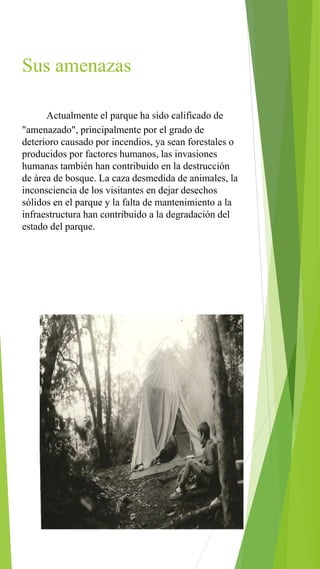 Sus amenazas
Actualmente el parque ha sido calificado de
"amenazado", principalmente por el grado de
deterioro causado por incendios, ya sean forestales o
producidos por factores humanos, las invasiones
humanas también han contribuido en la destrucción
de área de bosque. La caza desmedida de animales, la
inconsciencia de los visitantes en dejar desechos
sólidos en el parque y la falta de mantenimiento a la
infraestructura han contribuido a la degradación del
estado del parque.
 