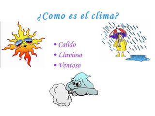 ¿Como es el clima? Calido Lluvioso Ventoso 