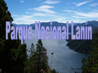 Por: Antonella Lanci Rocío Roitman Parque Nacional Lanín 