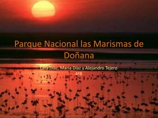 Parque Nacional las Marismas de Doñana Lara Díaz, María Díaz y Alejandro Tejero 4ºB 