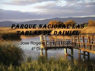 Parque Nacional Las Tablas De Daimiel Jose Rogelio Cortina Montes 4º Diversificación 