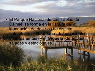 El Parque Nacional de Las Tablas de Daimiel se forma en la llanura de inundación de dos ríos de distinta naturaleza, el  Guadiana  (de aguas dulces y permanentes) y el  Gigüela  (de aguas saladas y estaciónales).  