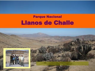 Parque Nacional
Llanos de Challe
Cuerpo de Guardaparques y
Administradores
 