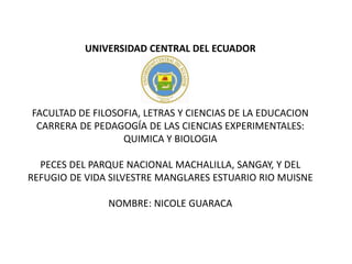UNIVERSIDAD CENTRAL DEL ECUADOR
FACULTAD DE FILOSOFIA, LETRAS Y CIENCIAS DE LA EDUCACION
CARRERA DE PEDAGOGÍA DE LAS CIENCIAS EXPERIMENTALES:
QUIMICA Y BIOLOGIA
PECES DEL PARQUE NACIONAL MACHALILLA, SANGAY, Y DEL
REFUGIO DE VIDA SILVESTRE MANGLARES ESTUARIO RIO MUISNE
NOMBRE: NICOLE GUARACA
 