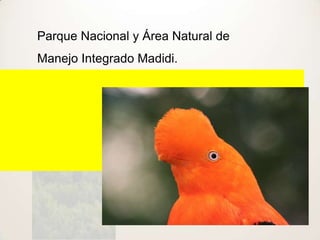Parque Nacional y Área Natural de
Manejo Integrado Madidi.
 