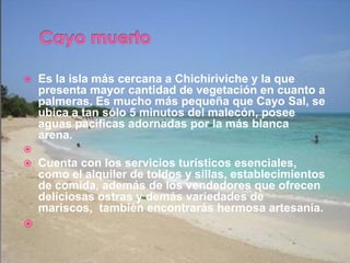  Es la isla más cercana a Chichiriviche y la que
presenta mayor cantidad de vegetación en cuanto a
palmeras. Es mucho más pequeña que Cayo Sal, se
ubica a tan sólo 5 minutos del malecón, posee
aguas pacíficas adornadas por la más blanca
arena.

 Cuenta con los servicios turísticos esenciales,
como el alquiler de toldos y sillas, establecimientos
de comida, además de los vendedores que ofrecen
deliciosas ostras y demás variedades de
mariscos, también encontrarás hermosa artesanía.

 