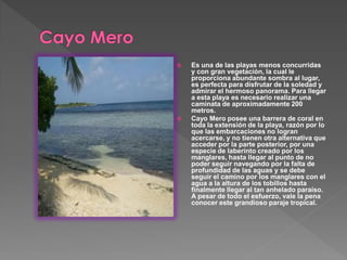  Es una de las playas menos concurridas
y con gran vegetación, la cual le
proporciona abundante sombra al lugar,
es perfecta para disfrutar de la soledad y
admirar el hermoso panorama. Para llegar
a esta playa es necesario realizar una
caminata de aproximadamente 200
metros.
 Cayo Mero posee una barrera de coral en
toda la extensión de la playa, razón por lo
que las embarcaciones no logran
acercarse, y no tienen otra alternativa que
acceder por la parte posterior, por una
especie de laberinto creado por los
manglares, hasta llegar al punto de no
poder seguir navegando por la falta de
profundidad de las aguas y se debe
seguir el camino por los manglares con el
agua a la altura de los tobillos hasta
finalmente llegar al tan anhelado paraíso.
A pesar de todo el esfuerzo, vale la pena
conocer este grandioso paraje tropical.
 