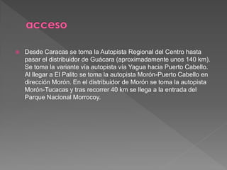  Desde Caracas se toma la Autopista Regional del Centro hasta
pasar el distribuidor de Guácara (aproximadamente unos 140 km).
Se toma la variante vía autopista vía Yagua hacia Puerto Cabello.
Al llegar a El Palito se toma la autopista Morón-Puerto Cabello en
dirección Morón. En el distribuidor de Morón se toma la autopista
Morón-Tucacas y tras recorrer 40 km se llega a la entrada del
Parque Nacional Morrocoy.
 