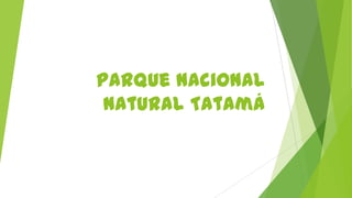 Parque nacional
natural Tatamá
 