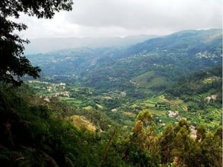 Terras do Bouro

Em Terras de Bouro, os vestígios arqueológicos são impressionantes.
 
