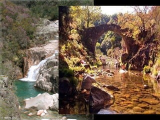 Em Terras de Bouro

  É possível vislumbrar vestígios das Pontes Romanas
(sobre o Ribeiro da Maceira, Ribeira do Forno, Ribeiro de
             Monção e a Ponte de S. Miguel,
                  sobre o Rio Homem),
            calçadas com marcas de rodados,
       pedreiras de onde foram extraídos miliários
       e blocos de pedra para construir as pontes.
vestígios arqueológicos de pequenos povoados indígenas
            ou de apoio à construção da Via,
          que atestam a importância desta Via.
 