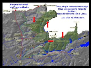 Parque Nacional
da Peneda-Gerês   Único parque nacional de Portugal
                    Situa-se no extremo nordeste
                              do Minho,
                   fazendo fronteira com a Galiza.
                       Área total: 72.000 hectares
 