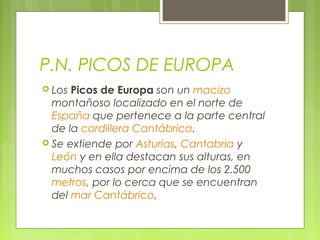 P.N. PICOS DE EUROPA
 Los Picos de Europa son un macizo
  montañoso localizado en el norte de
  España que pertenece a la parte central
  de la cordillera Cantábrica.
 Se extiende por Asturias, Cantabria y
  León y en ella destacan sus alturas, en
  muchos casos por encima de los 2.500
  metros, por lo cerca que se encuentran
  del mar Cantábrico,
 