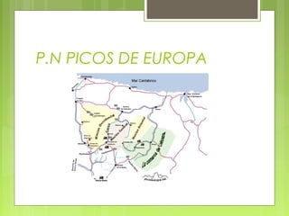 P.N PICOS DE EUROPA
 
