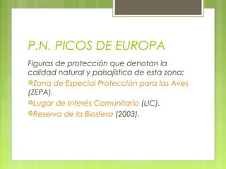 P.N. PICOS DE EUROPA
Figuras de protección que denotan la
calidad natural y paisajística de esta zona:
Zona de Especial Protección para las Aves
(ZEPA).
Lugar de Interés Comunitario (LIC).
Reserva de la Biosfera (2003).
 
