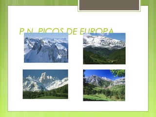 P.N. PICOS DE EUROPA
 