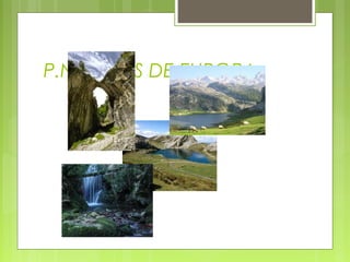 P.N. PICOS DE EUROPA
 