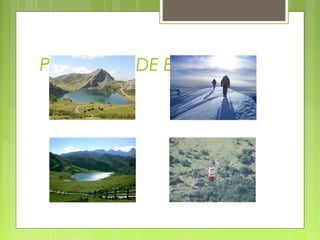 P.N. PICOS DE EUROPA
 